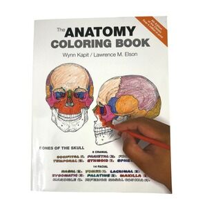 Anatomy Coloring Book | Human Body Illustrations | Pre-Owned